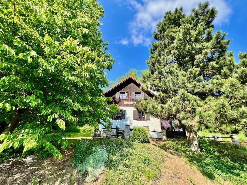 Holiday Home Marianne Velke Svatonovice المظهر الخارجي الصورة